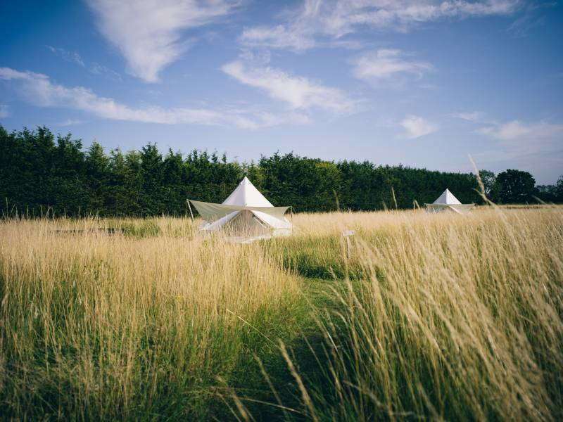 Picture of belltents in a field