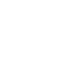 G+ logo