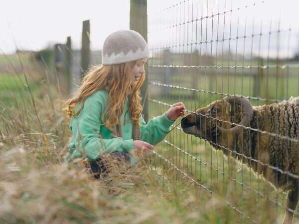 girl wearing a green jumper and a grey and white hat feeding a shetland sheep through a fence