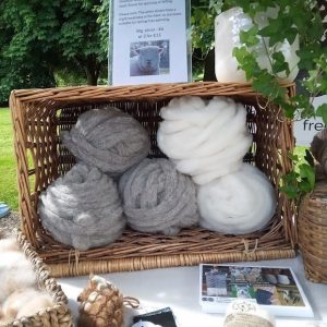 rolled slivers of southdown wool in a basket